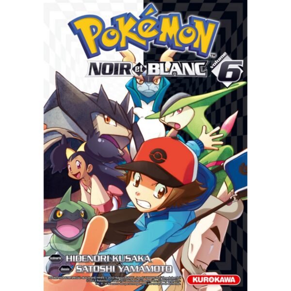 pokemon-noir-blanc-6